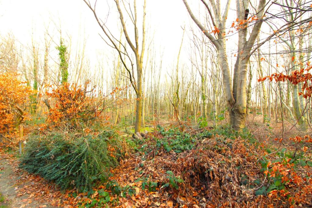 WOODLAND TO REAR