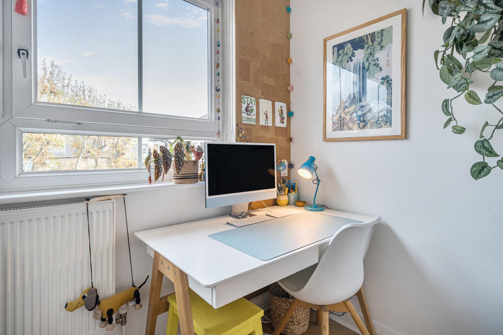 Study Area