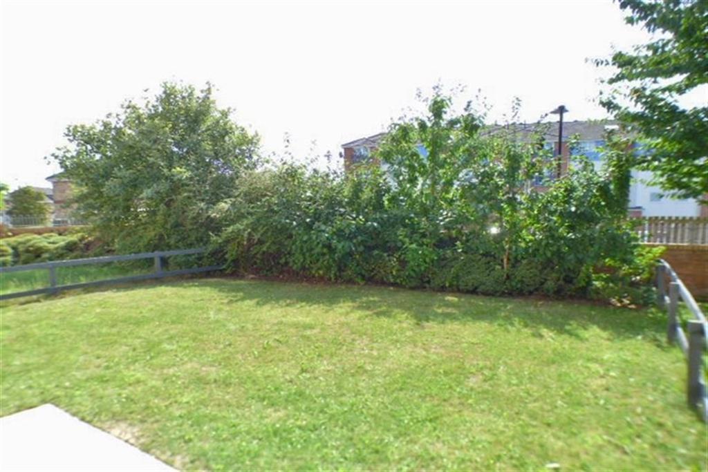 Garden 2
