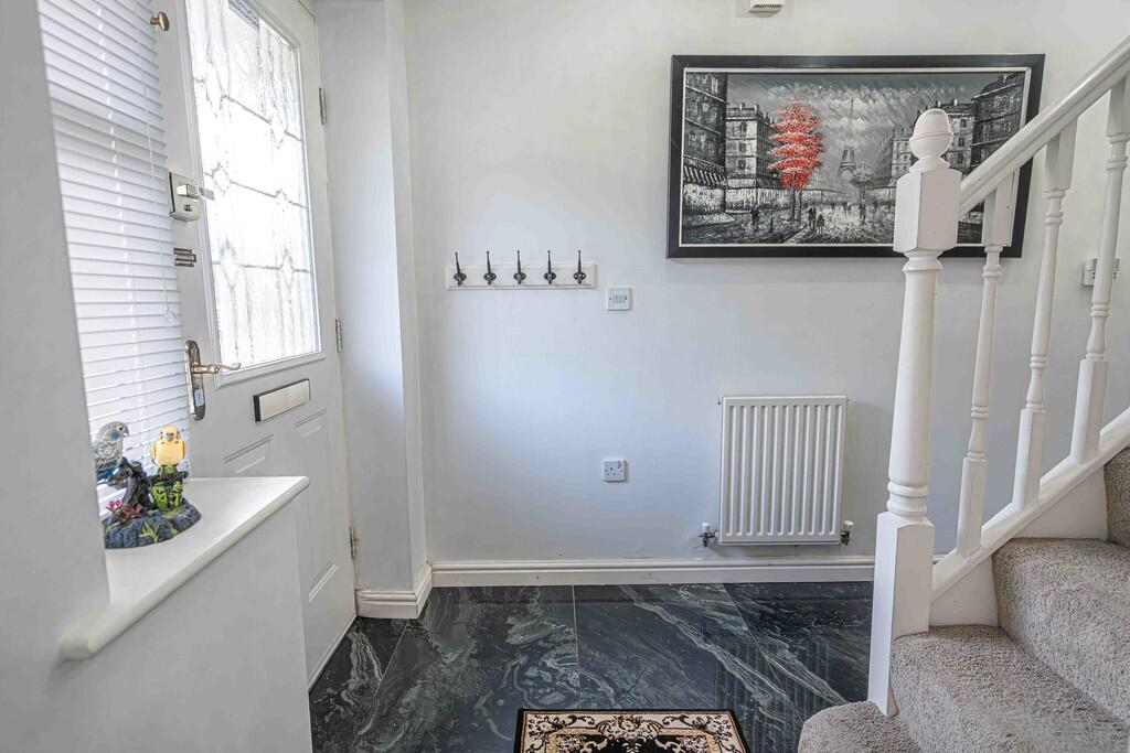 20250224-DSC03002...