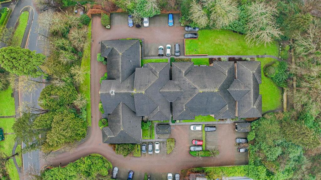 DJI_20250131112052_0483_D.jpg