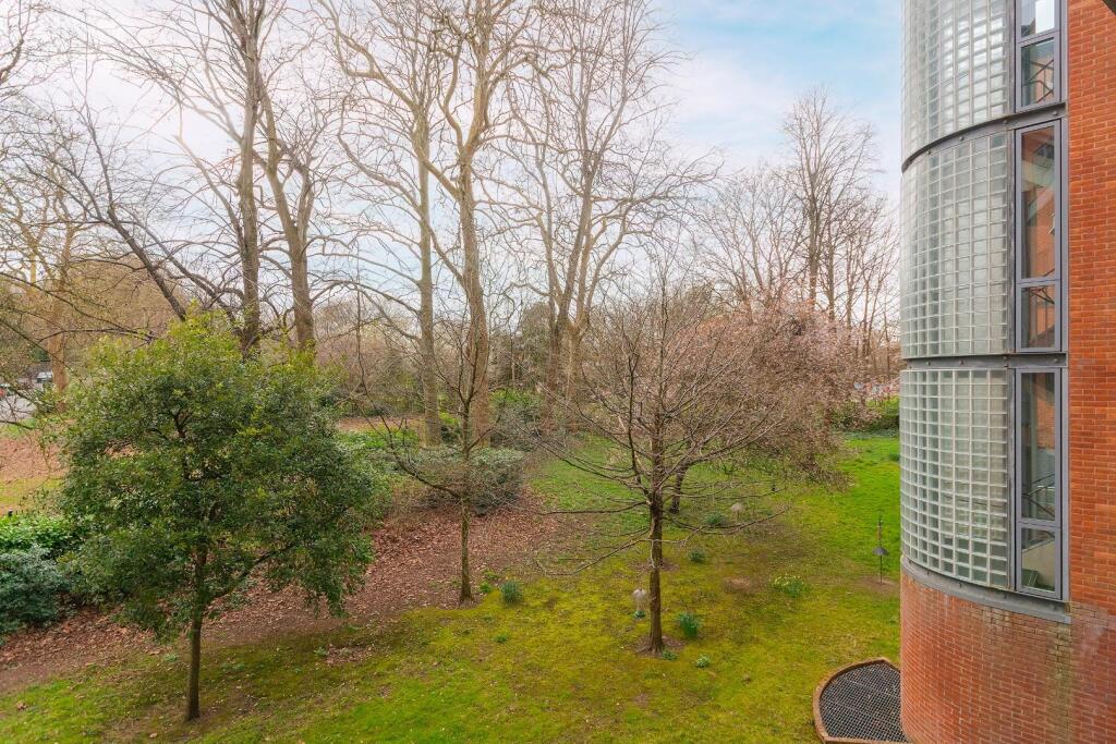 0G4ARD - The View A.jpg