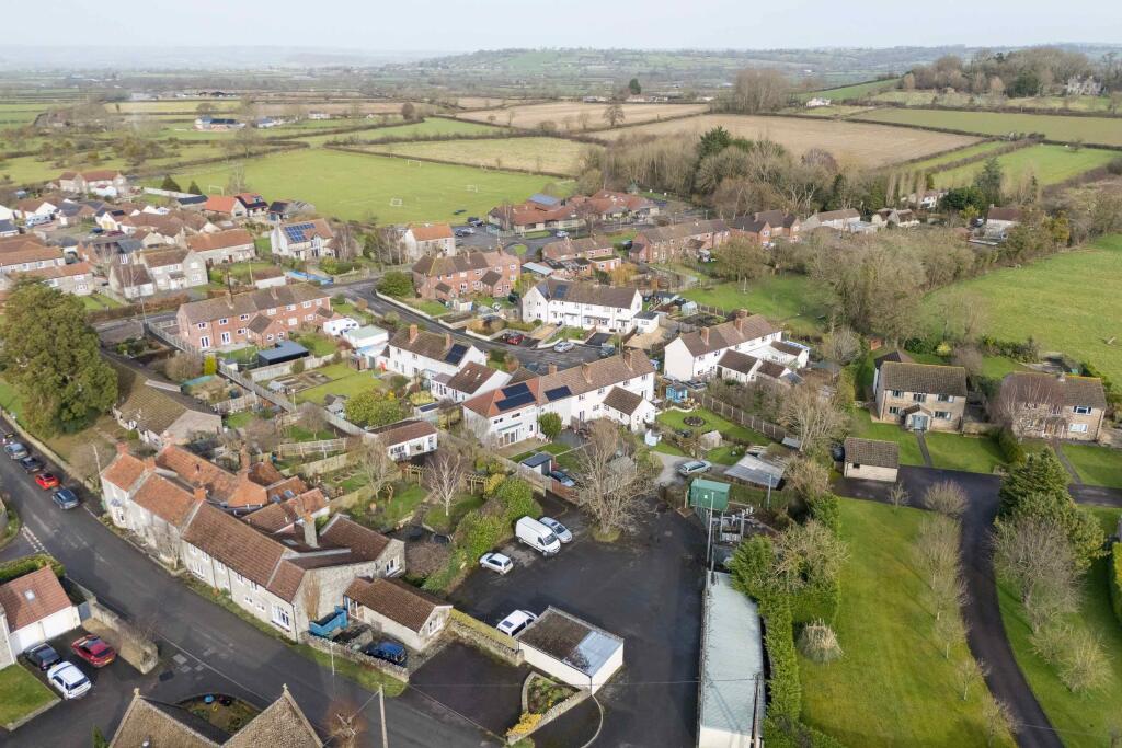 TEK HiRes 250205 013.jpeg