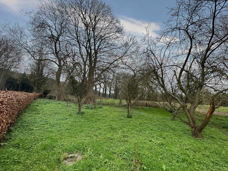 Site Photo