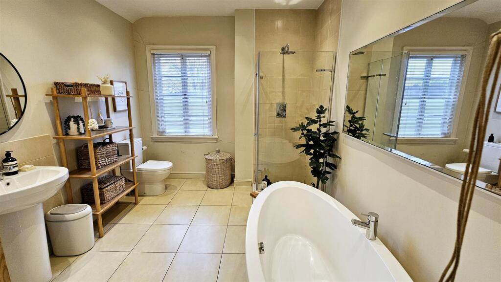 20250214_111806 (Large).jpg