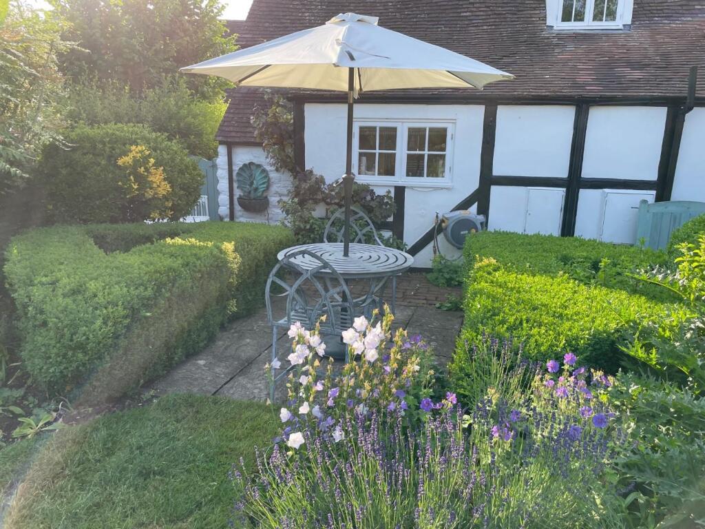 rear garden.jpg