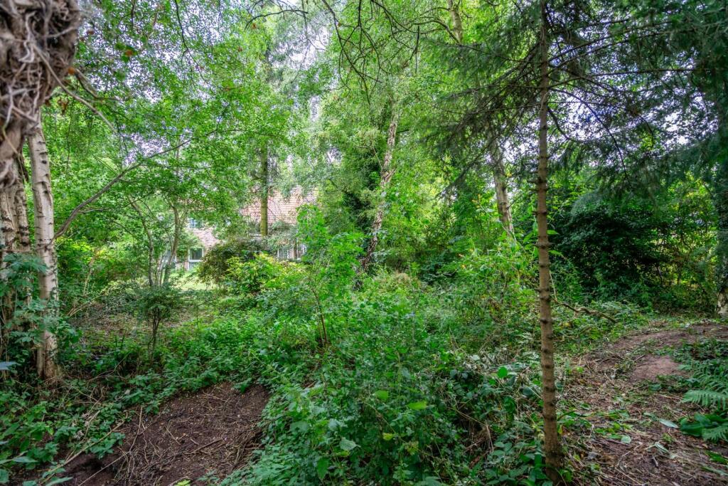 grounds (1 of 9).jpg