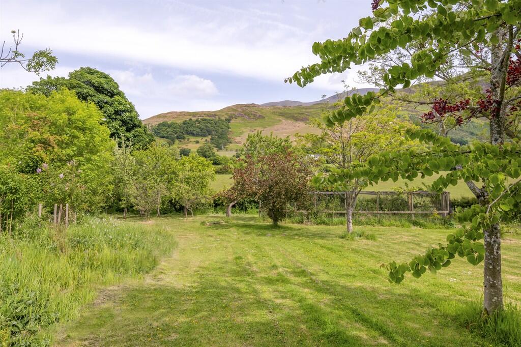 Orchard