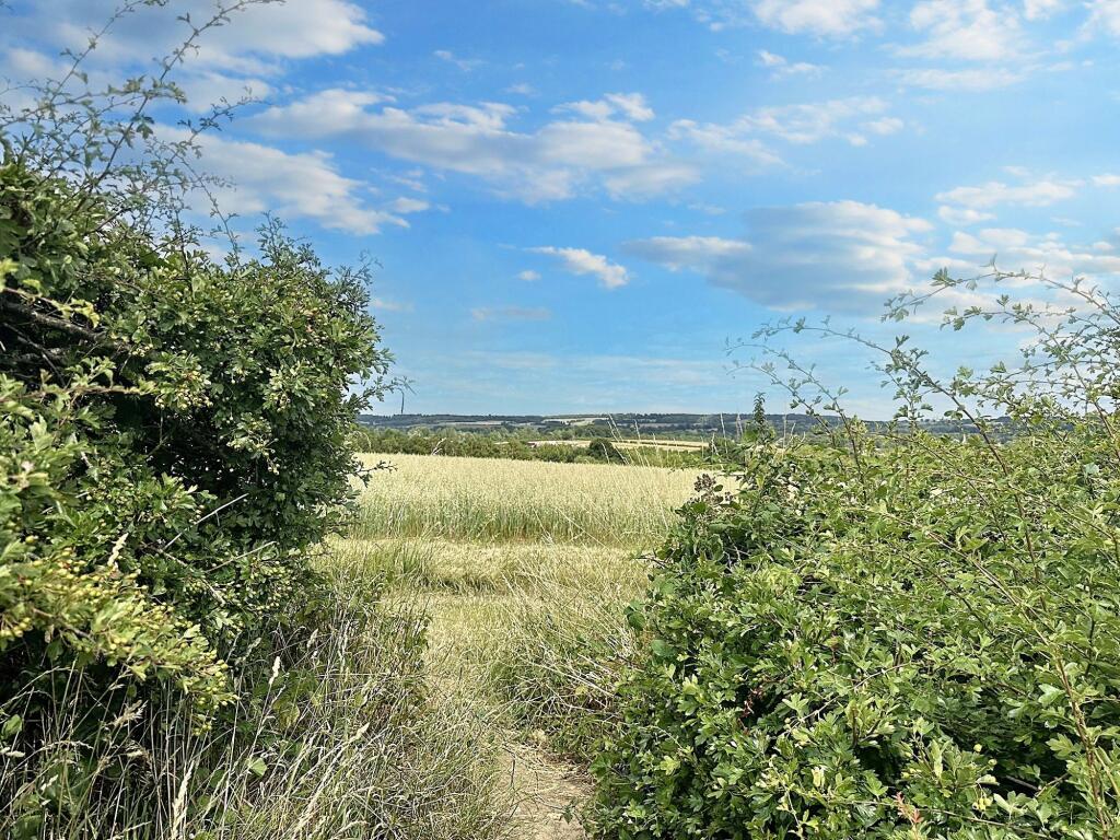 Field Views