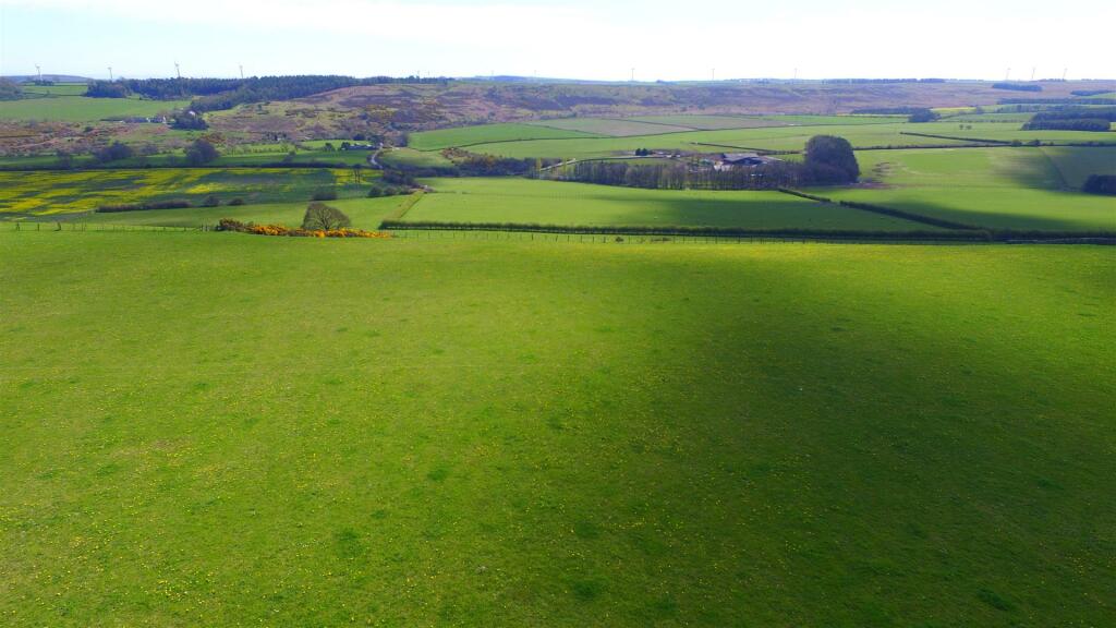 DJI_0468.JPG