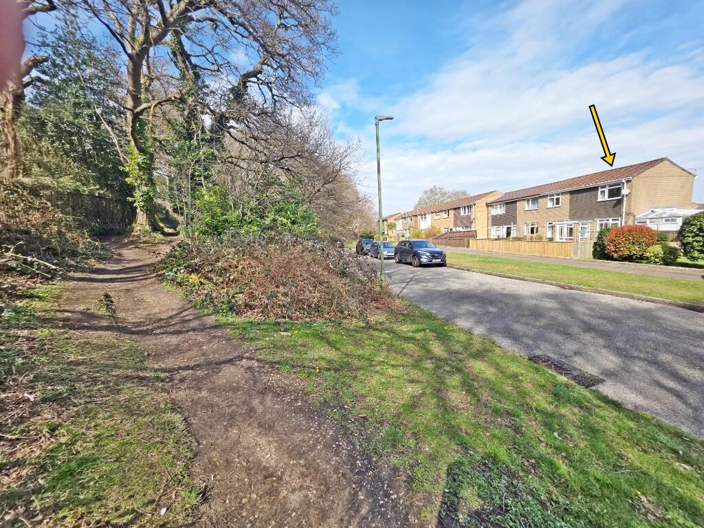 Opposite Woodland