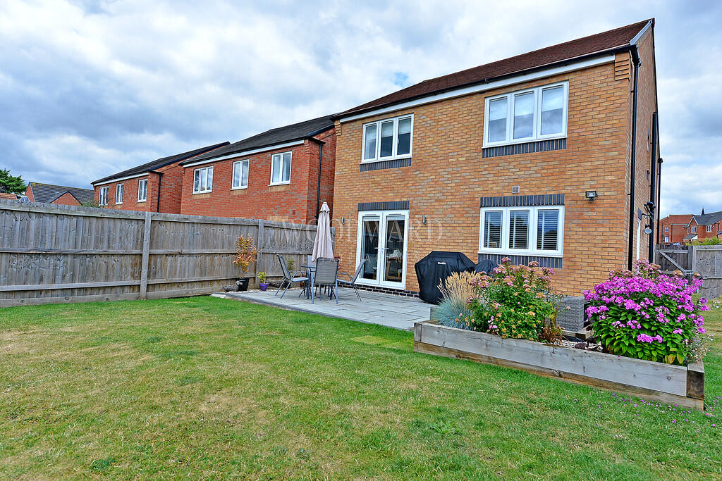 Rear Elevation