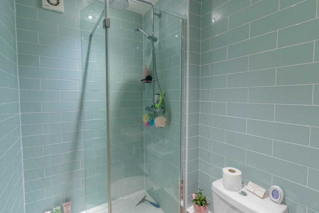 Basement Shower Room