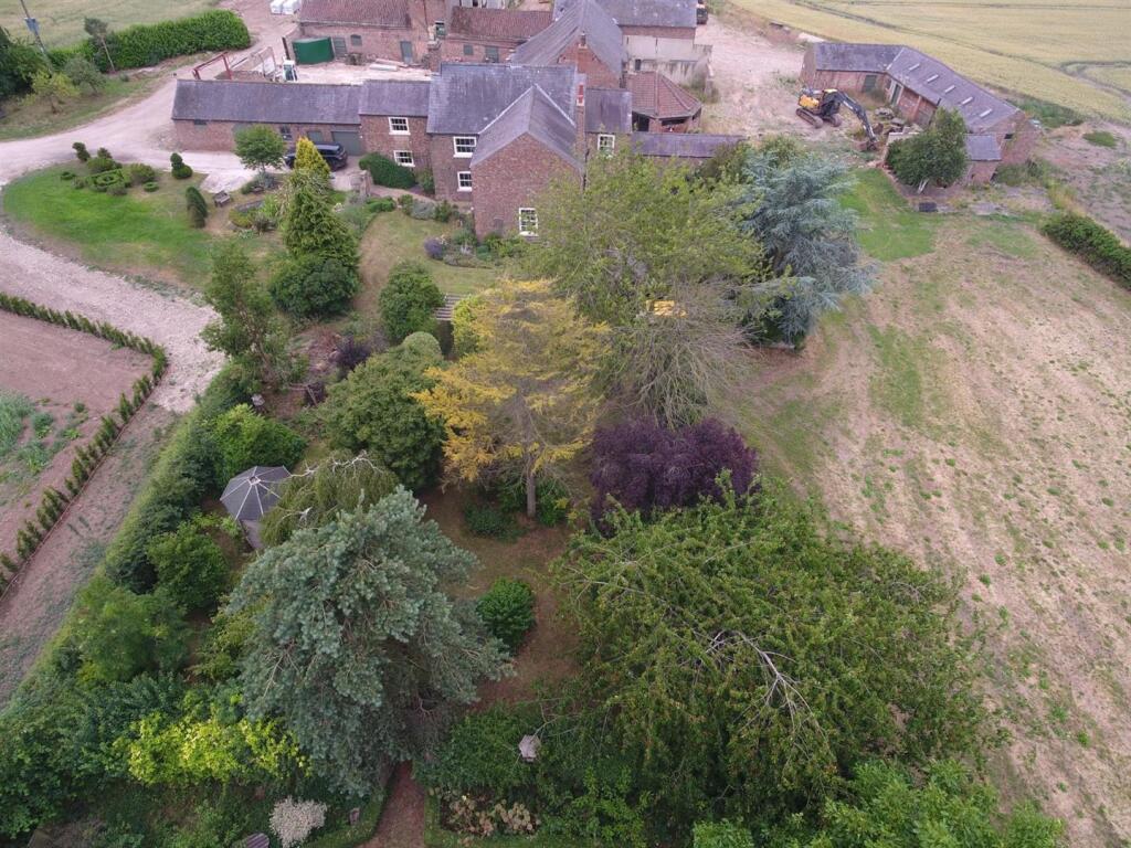 WhatsApp Image 2025-07-04 at 17.29.17_e681e383.jpg