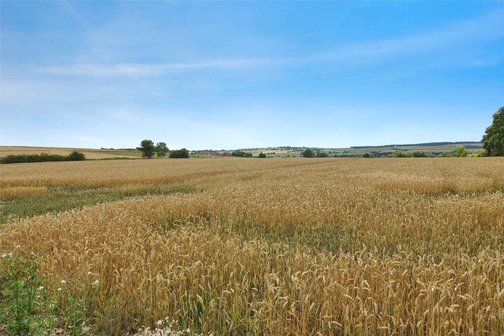 View Over Fields