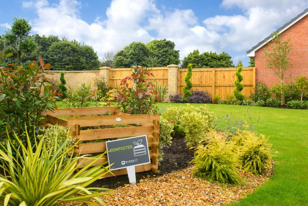 Award winning RSPB garden