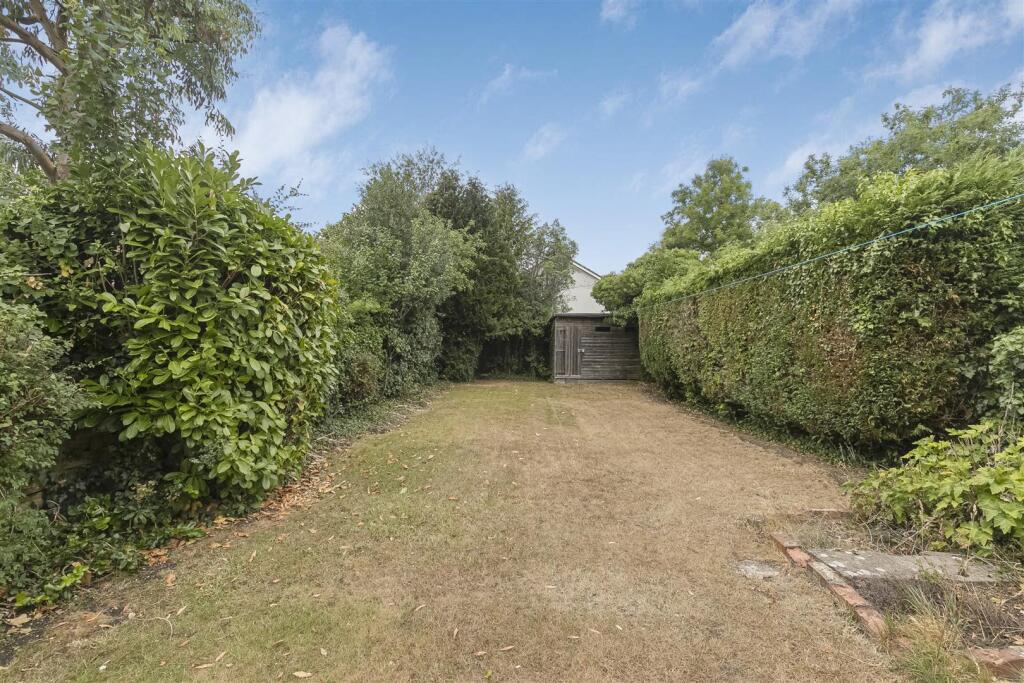 Garden 2.jpg