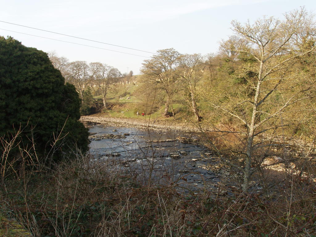 Tees - upstream