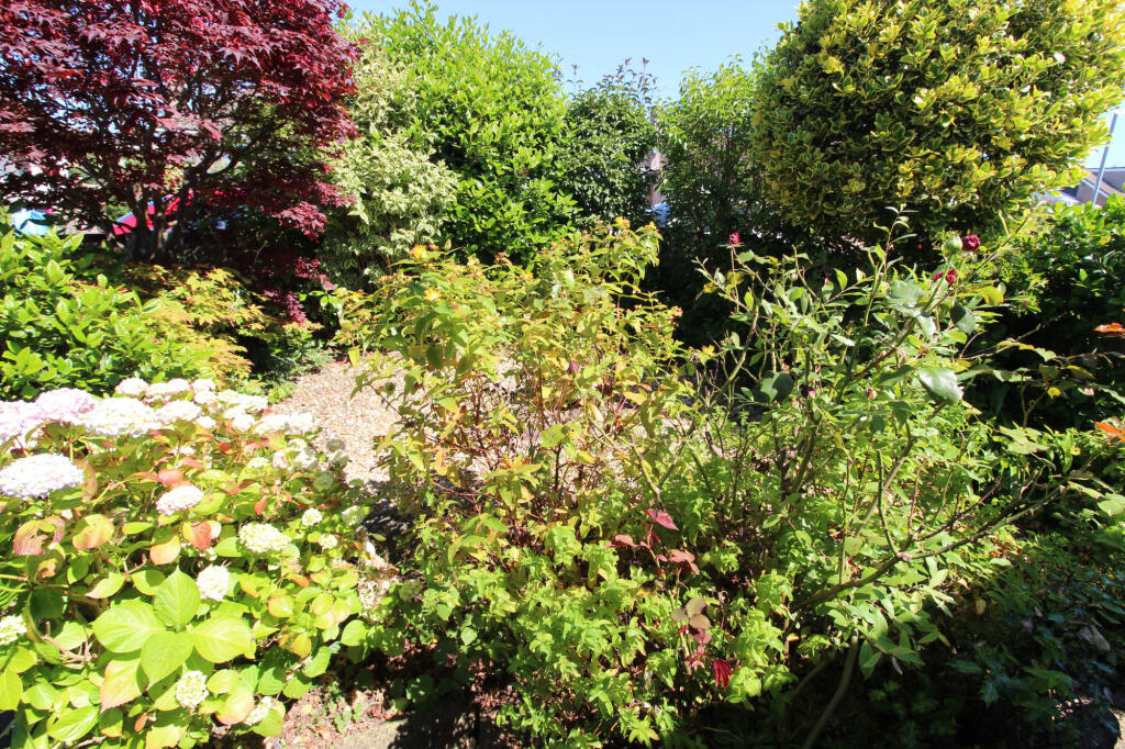 garden