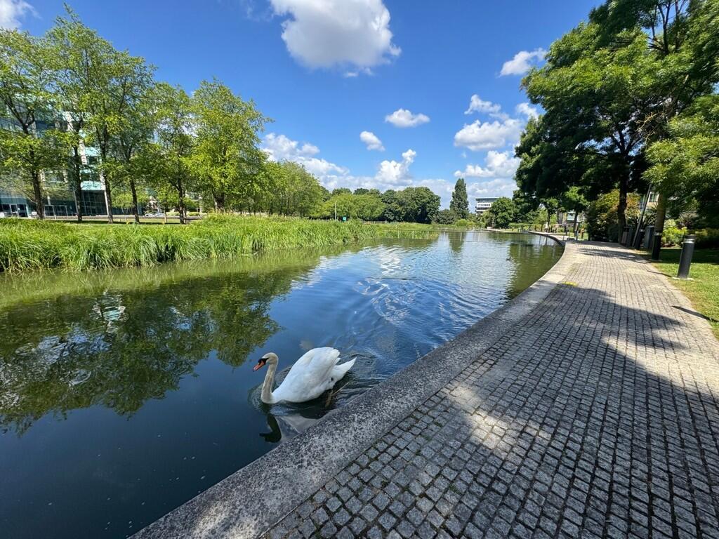 fffee03d-a406-4cd...