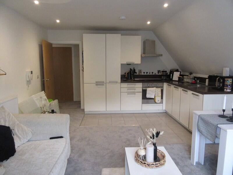 Open Plan Lounge Kitchen