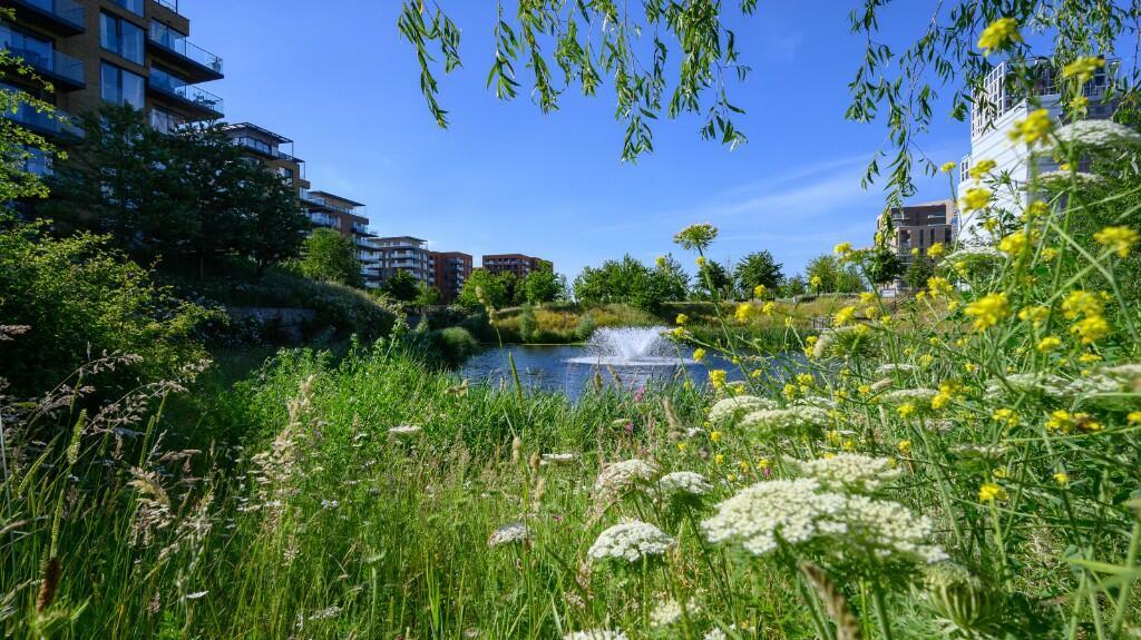 Cator Park