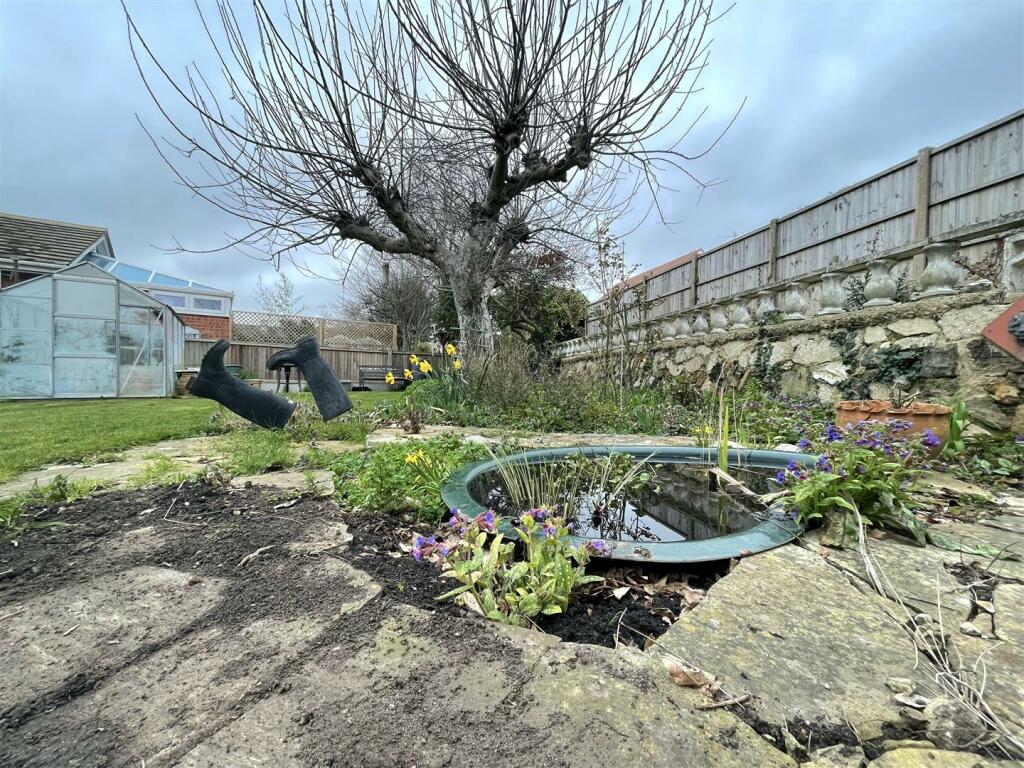 Garden (6).jpeg