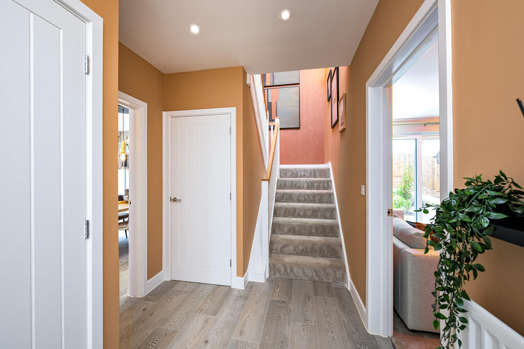 B-VISE-WALPK-Plot4Feb24-003