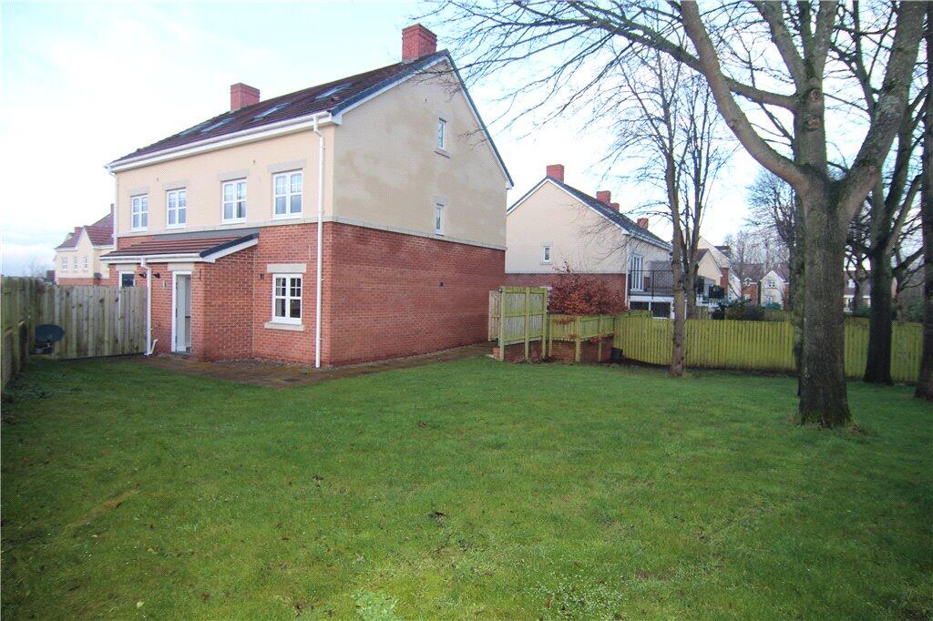 Picture No. 11