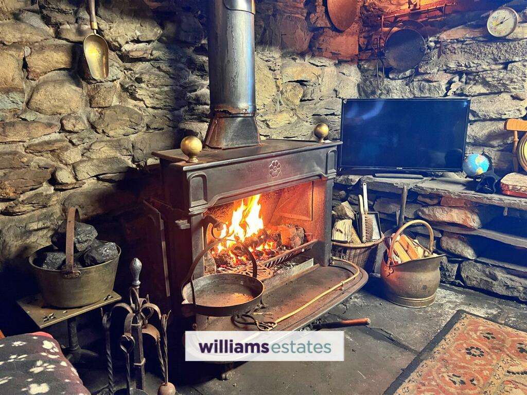 Log burning stove