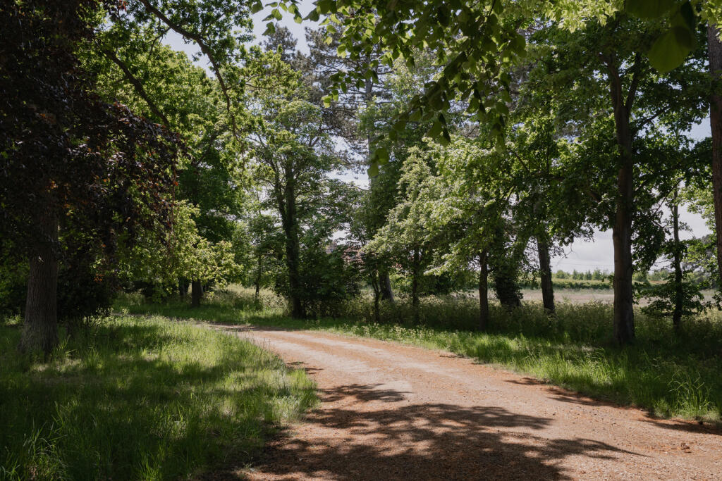 287973 - Coach House, Manor Farm, Brancaster-67...