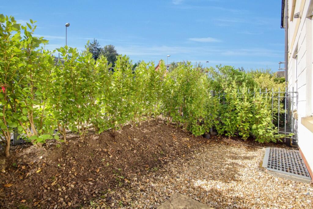 South Facing Courtyard 