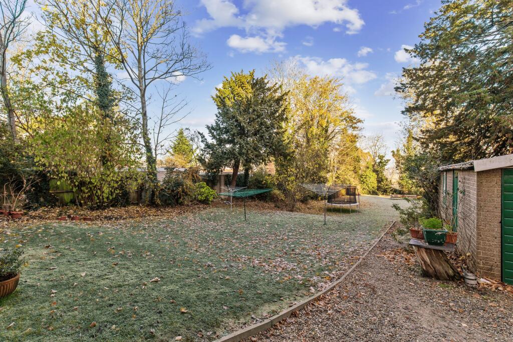 garden