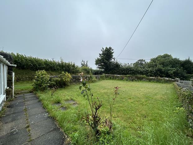 Garden 1