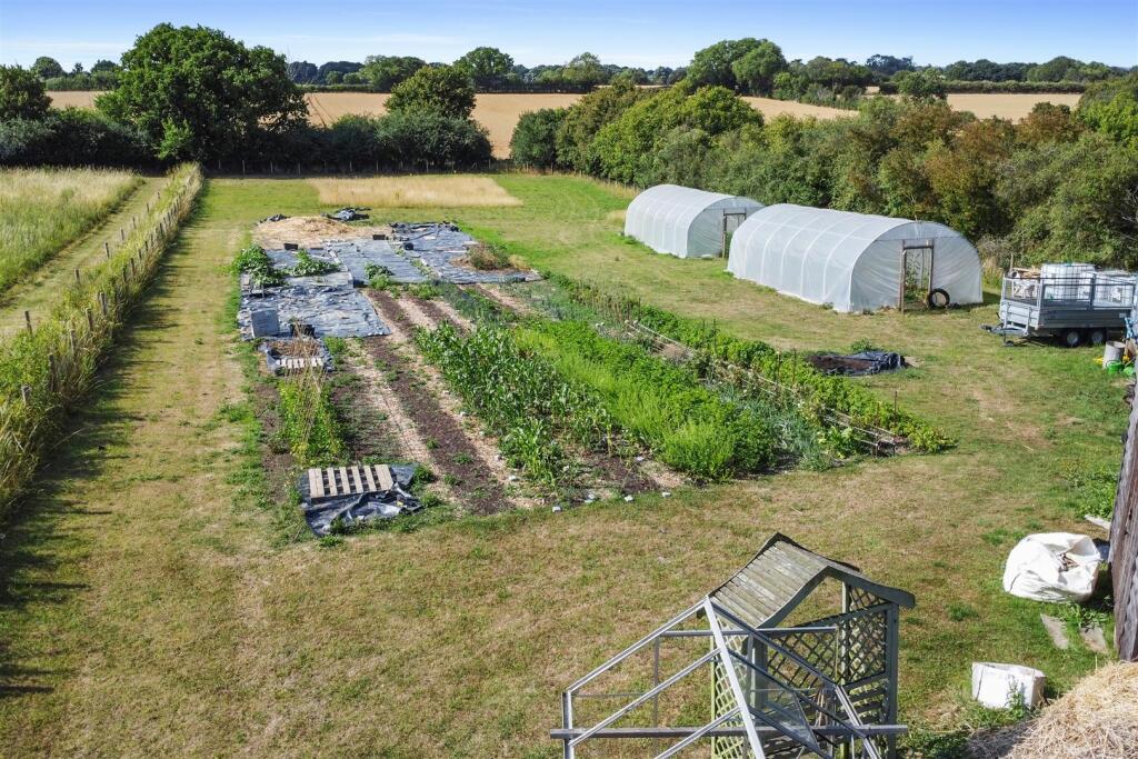 Vegetable Area