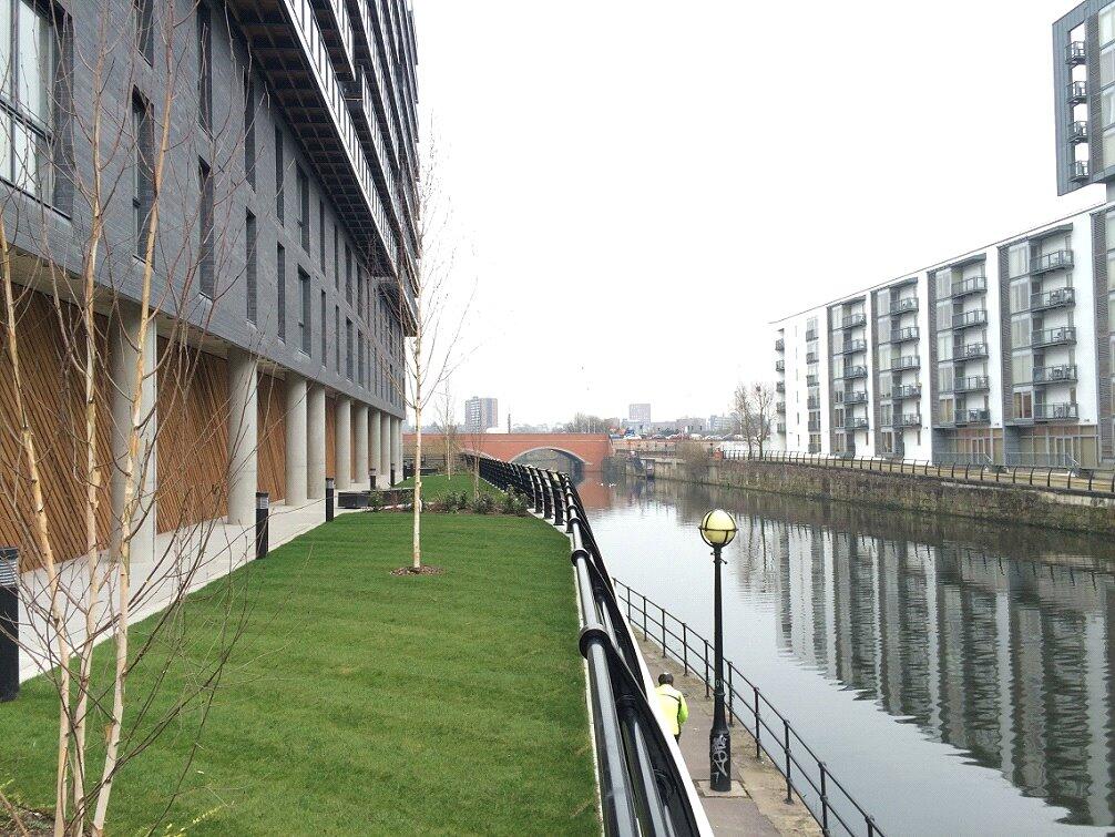Picture 11