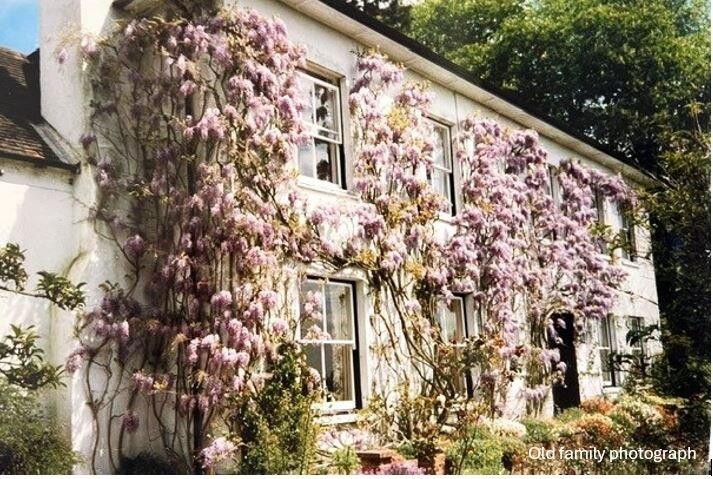 Picture No. 68