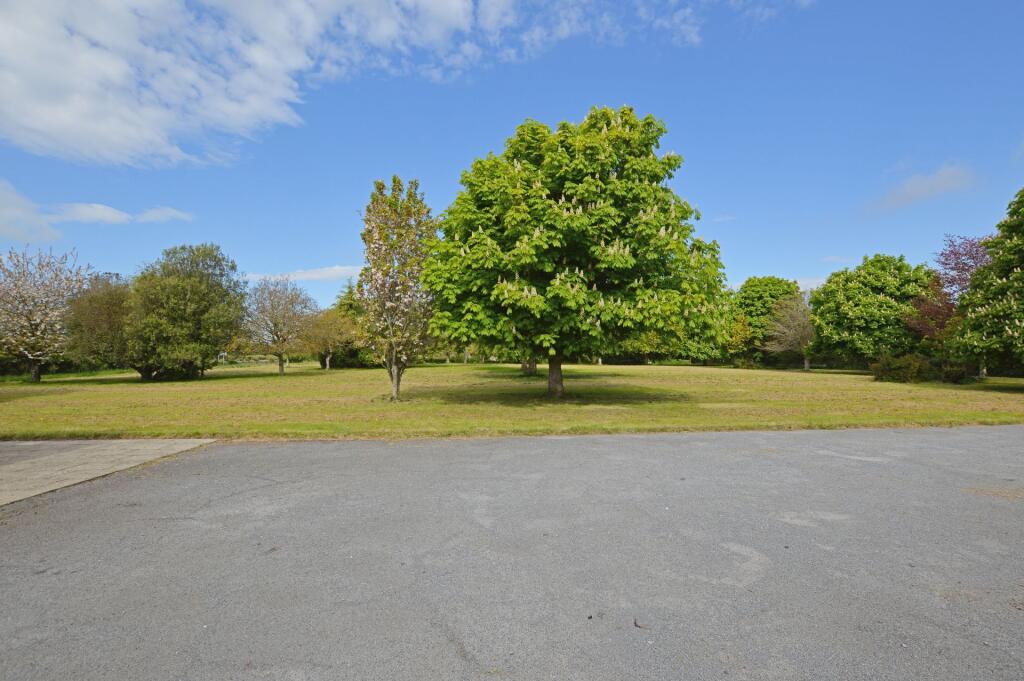 DSC 0150 T202508011154.jpg