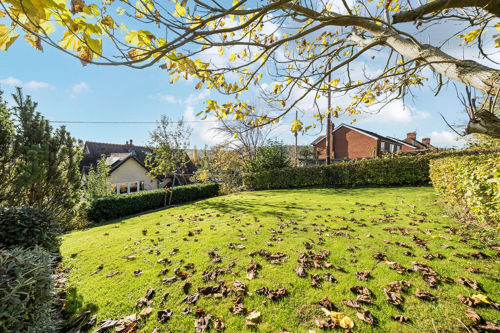 1370321-3-68fb6de...