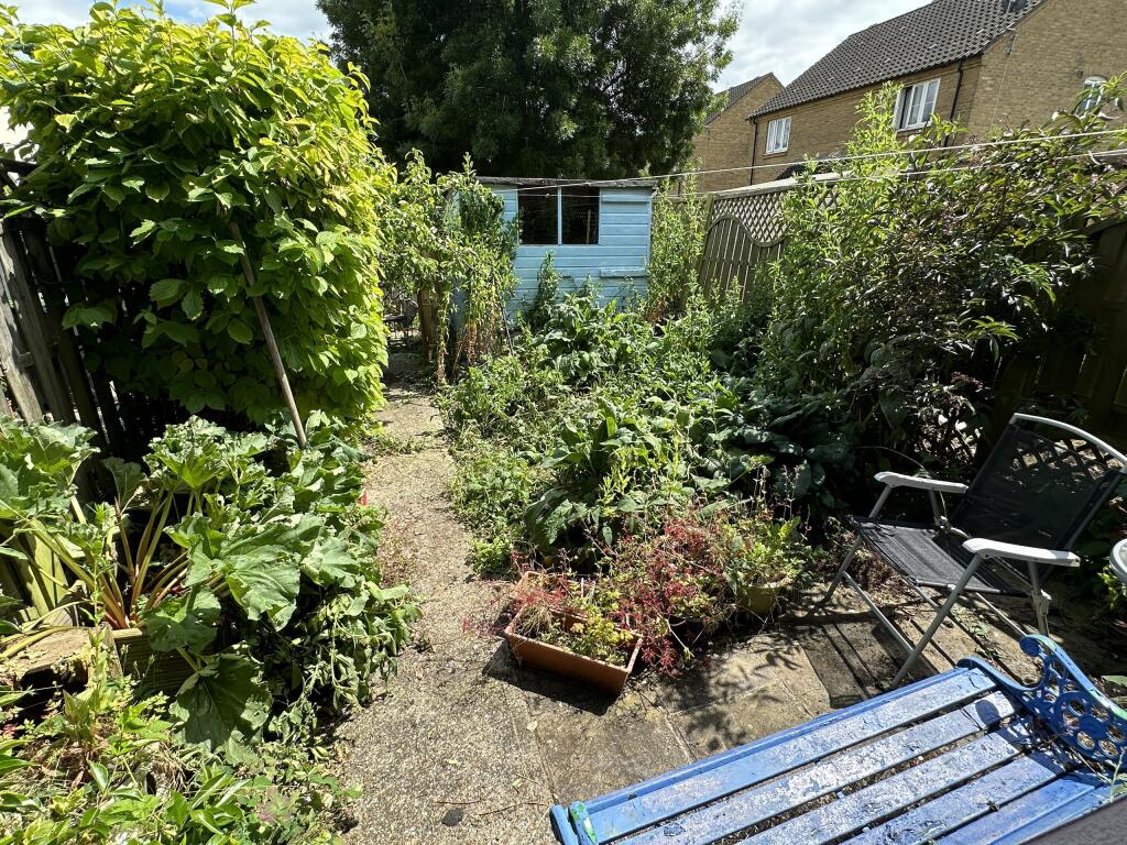 garden.JPG