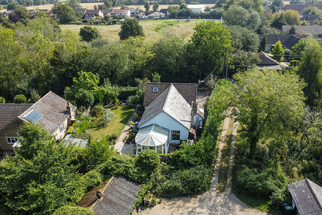 PT-DB(WP)-ShrubLo...