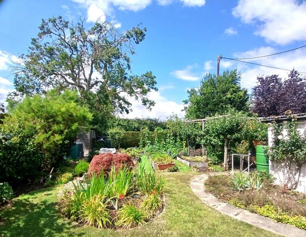 Garden 7.jpg