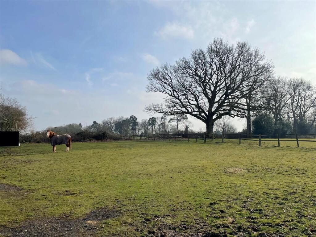 Horse Field Beside Property.JPG