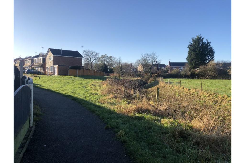 Surrounding Area
