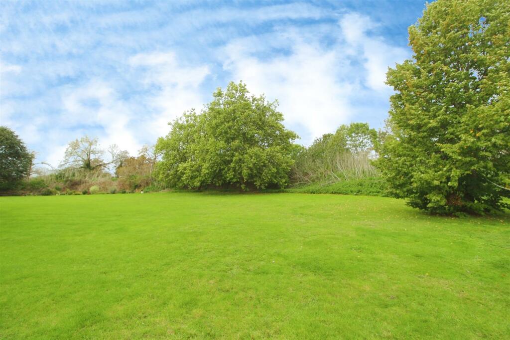 garden.JPG