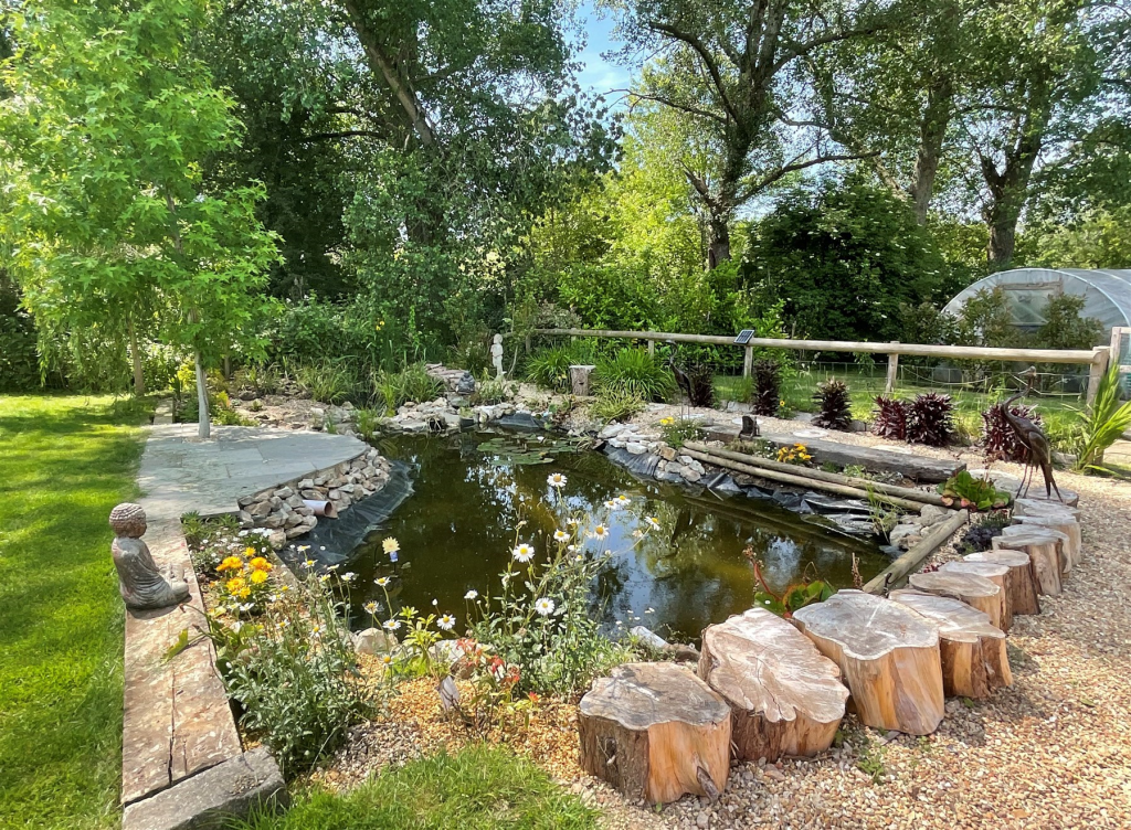 Garden / Pond