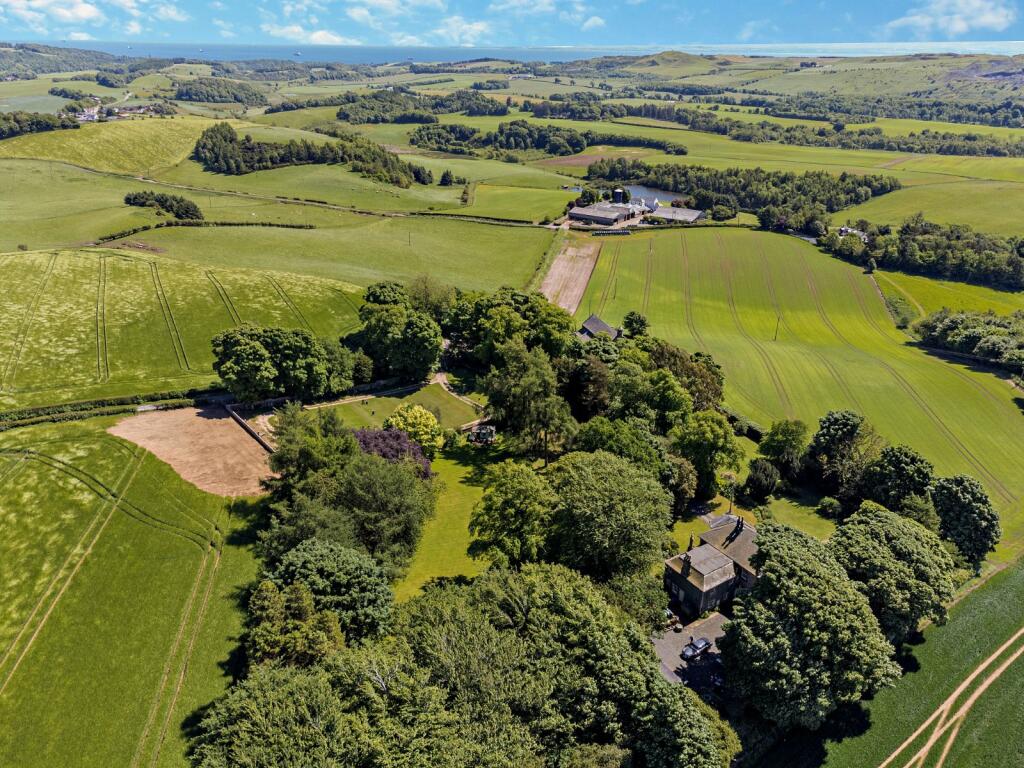 Aerial Photograph