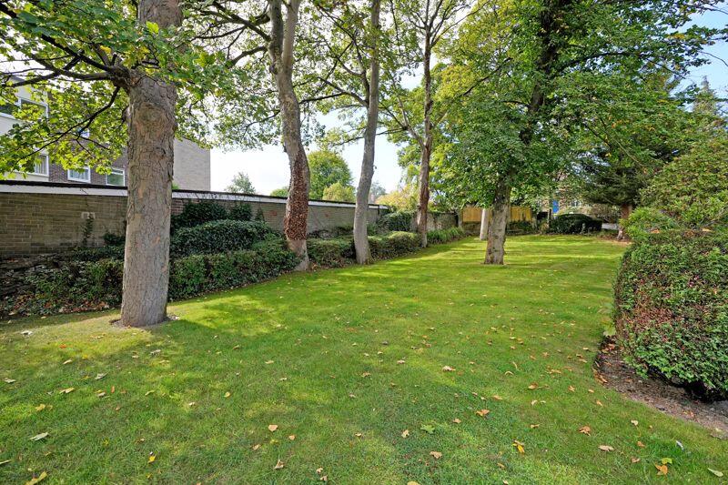 Communal Gardens 