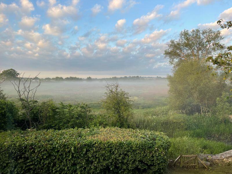 View from the garden