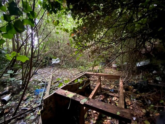 GARDEN T202508221234.jpg